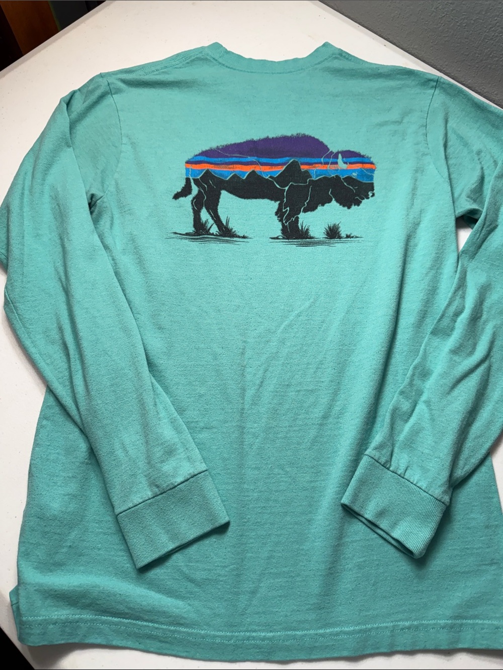 Patagonia Women's Long Sleeve Tee in Aqua with Multicolor Buffalo Graphic